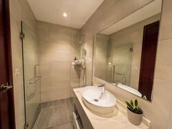 The Hillside (D21), Condominium #456148811